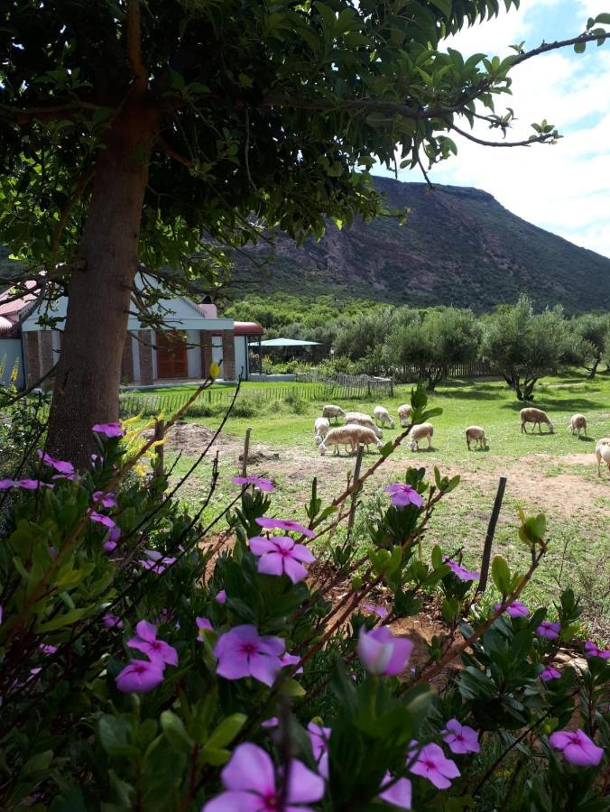 Baviaanskloof Landhuis Studtis Exterior foto
